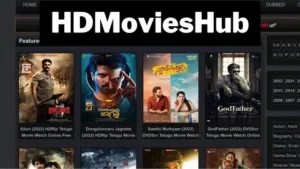 How to Search Filmy4U For Movies?