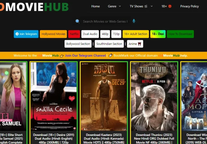 What Is hdmovieshub. in